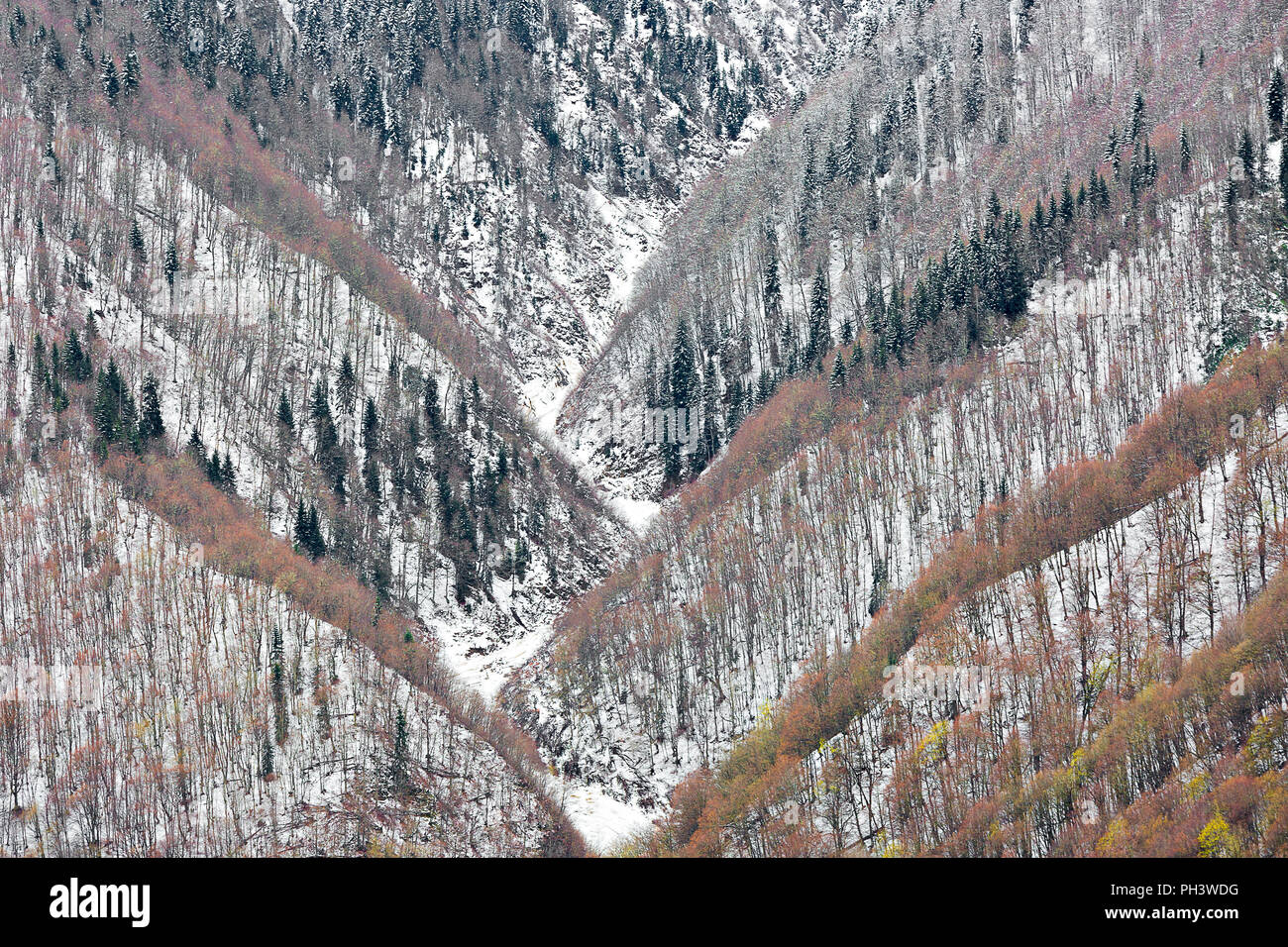 Caucasus Mountains in the winter in Georgia Stock Photo