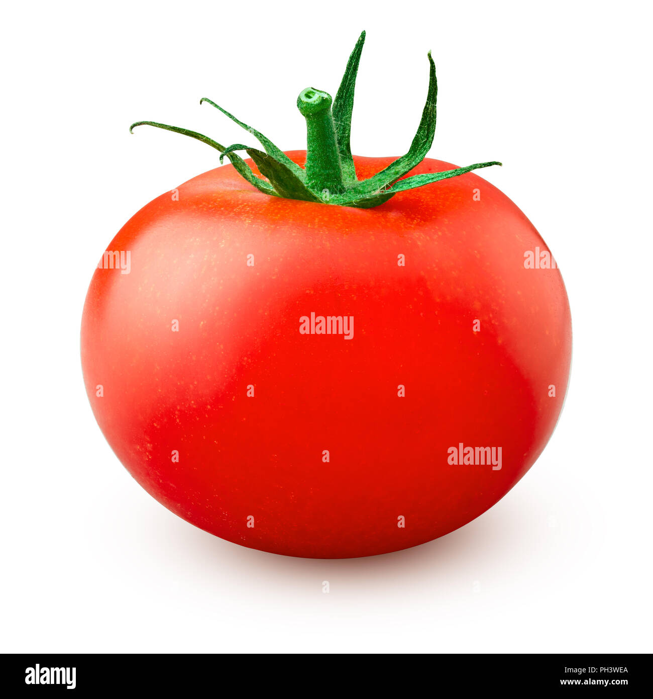 tomato on branch, isolated on white background, clipping path, full depth of field Stock Photo