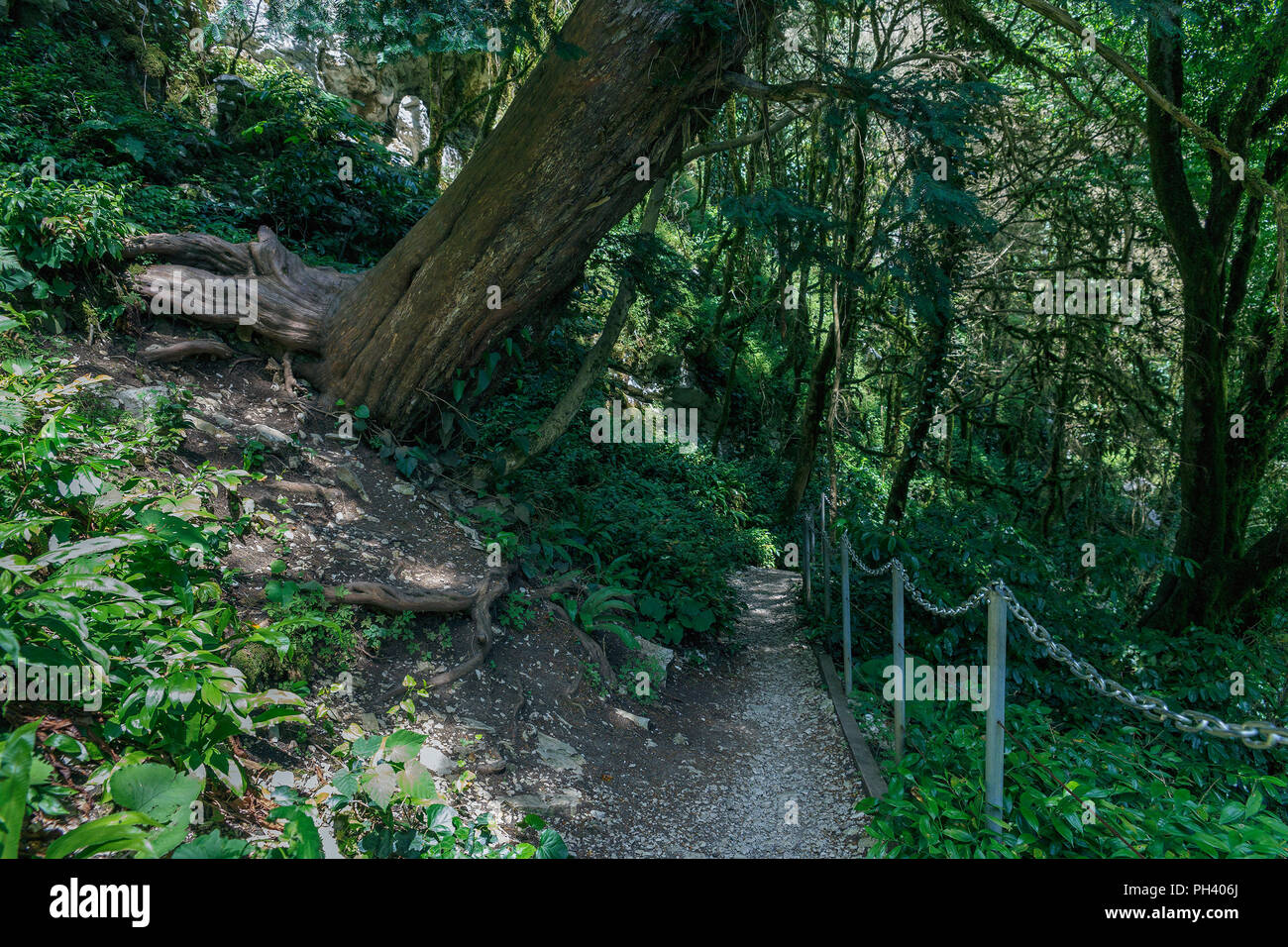 Close up walkway railing park hi-res stock photography and images - Alamy