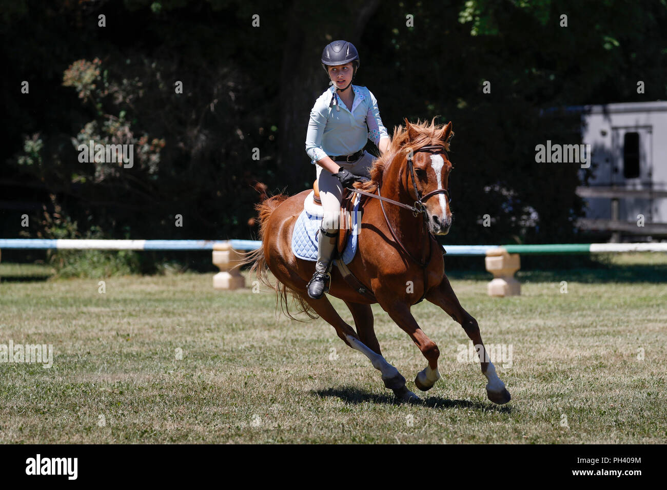 A horse and rider cantering during a horse show. Stock Photo