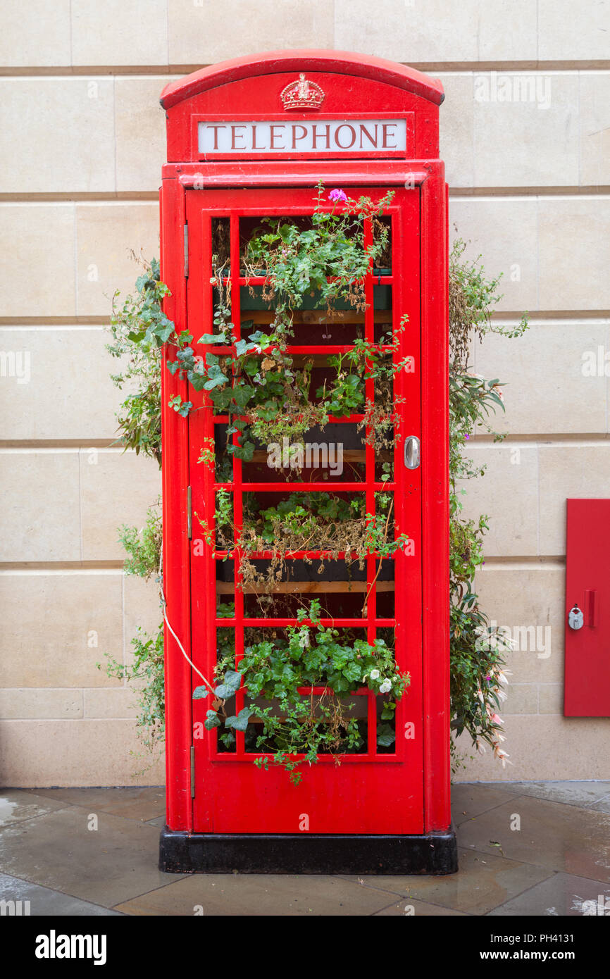 British Telecom telephone box which has been repurposed as a small garden in public, Bath, UK Stock Photo