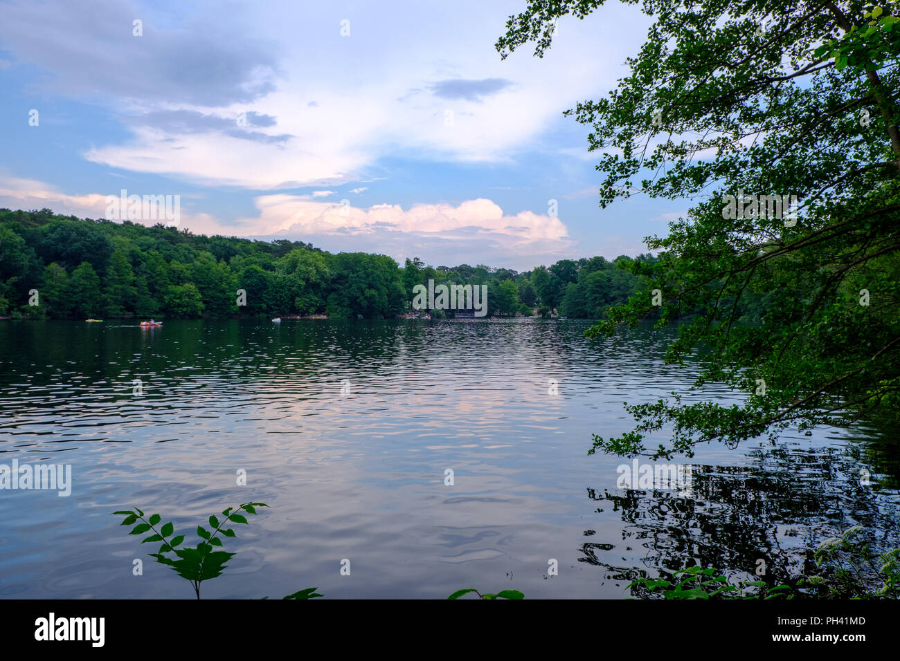 Greenery on the shore of lake Schlachtensee in Berlin, Germany. Stock Photo