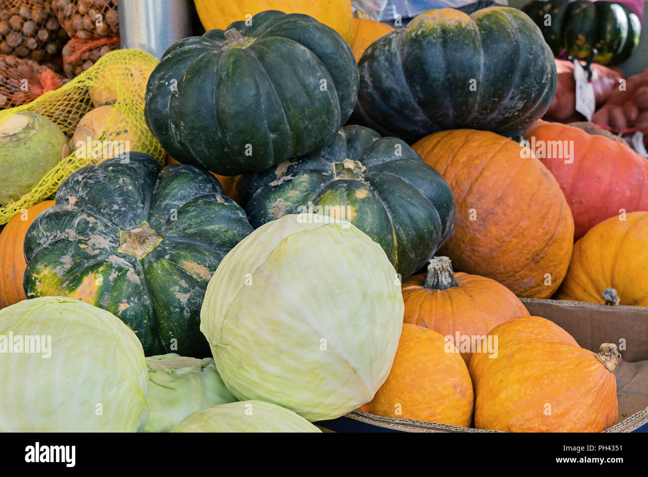 Pile of fresh raw vegetables on bio farm in market. Natural and ripe pumpkin and cabbage harvest Stock Photo