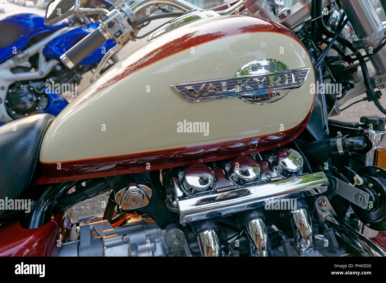 aspecto Bocadillo apelación Close-up of a Honda Valkyrie F6 cruiser motorcycle gas tank and flathead  six engine Stock Photo - Alamy