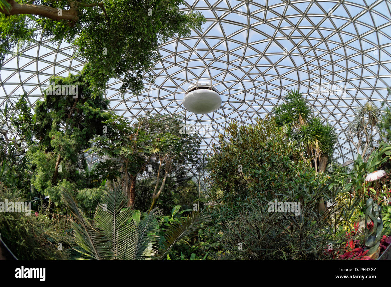 Tropical plants and Triodetic dome of the Bloedel Conservatory in Queen