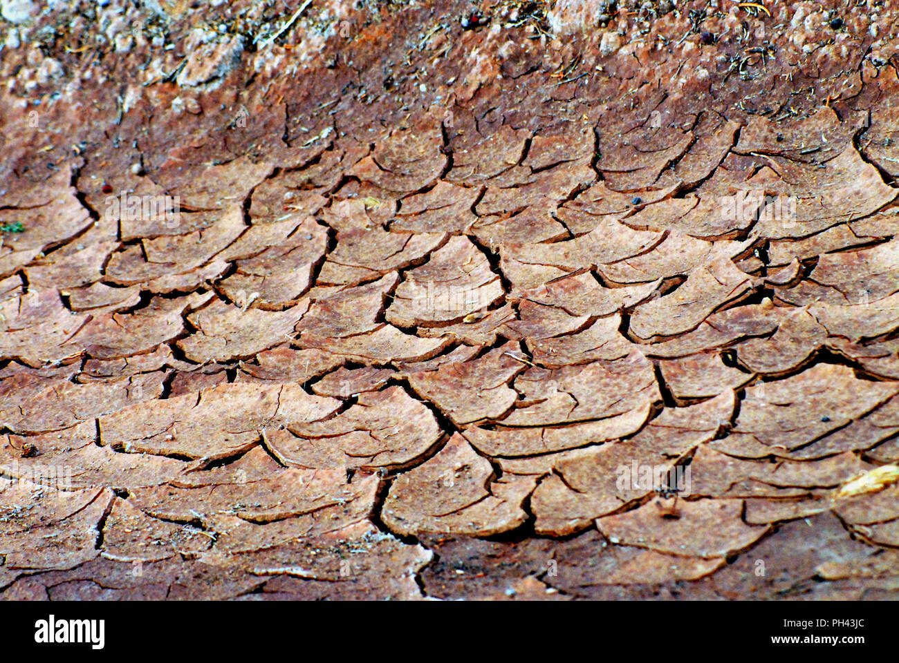 Evidence of climate change hires stock photography and images Alamy
