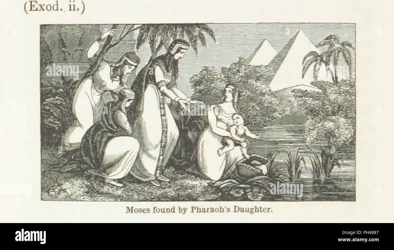 Biblical palestine description hi-res stock photography and images - Alamy