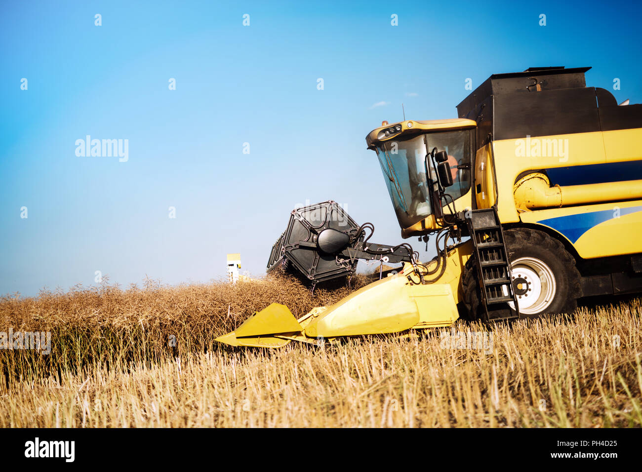 Picture of combine harvester machine harvesting crops Stock Photo Alamy