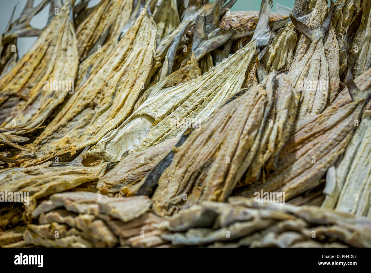 Dried tuna fish on the market Stock Photo Alamy