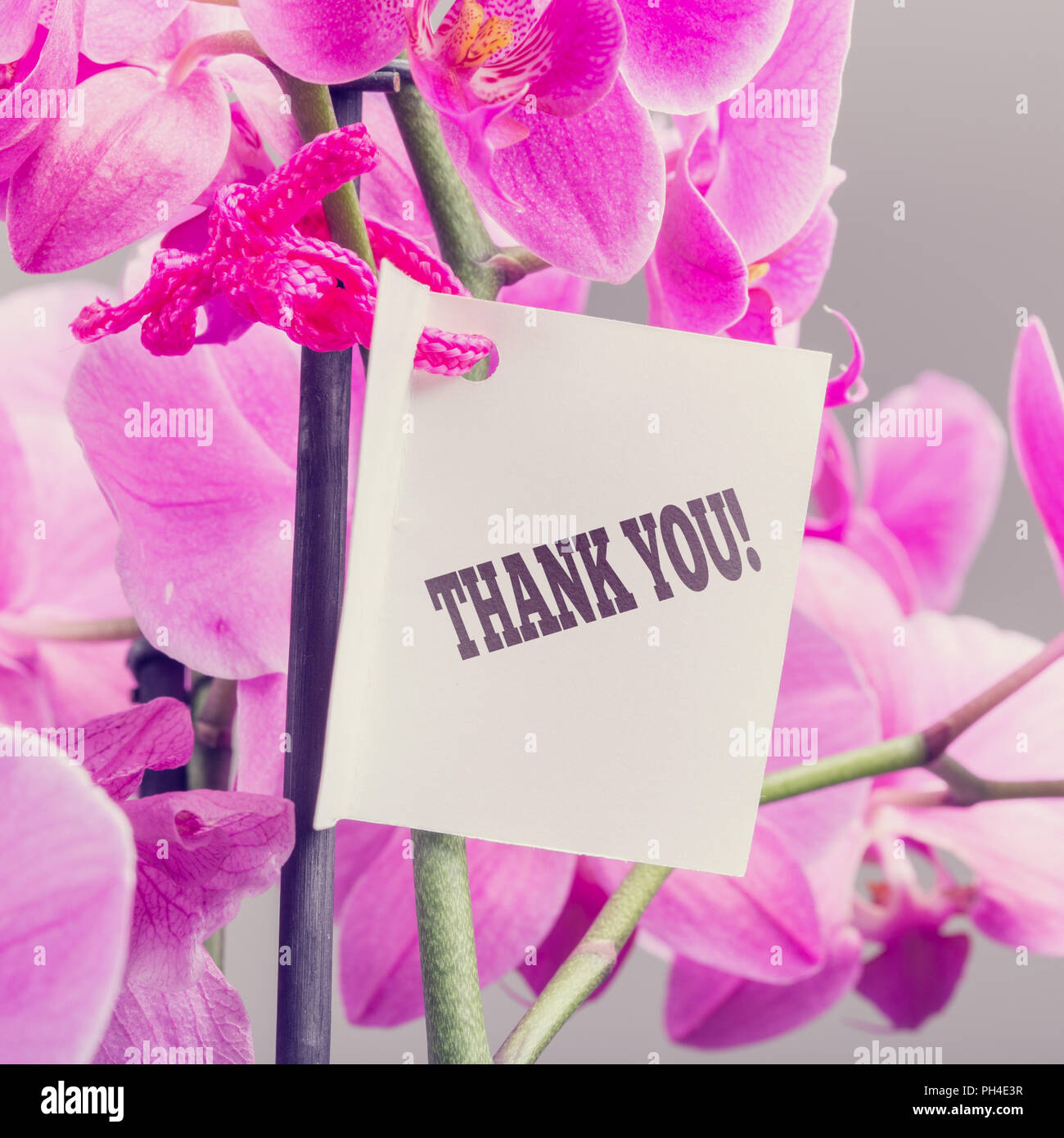 Bouquet of flowers thank you note hires stock photography and images