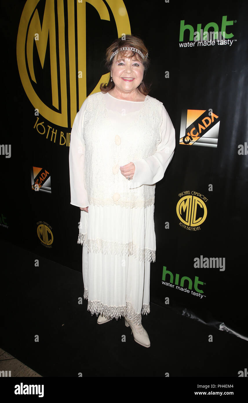 Fuller House's Michael Campion's Roaring 16th Birthday celebration