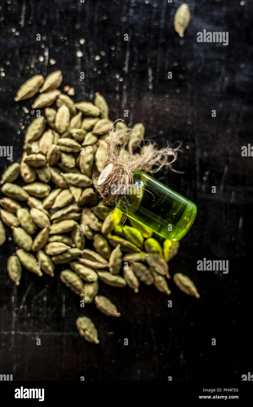 Raw organic green cardamom or elaichi or Elettaria cardamomum or true cardamom with its essence on wooden surface used in many beverages as a flavorin Stock Photo