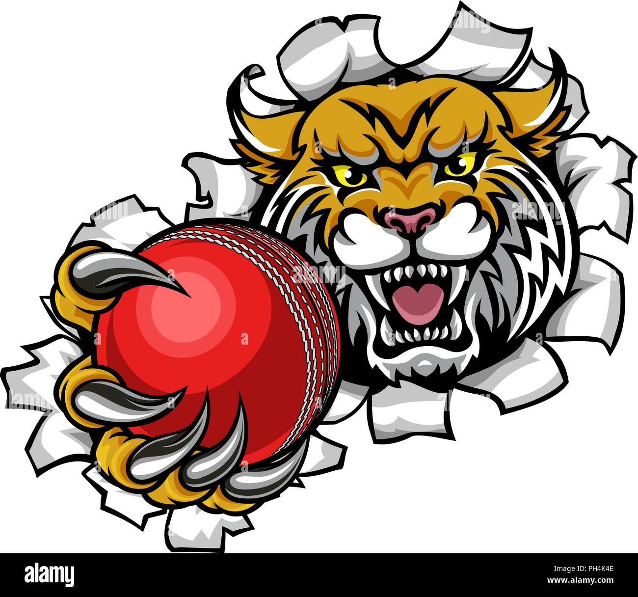 Wildcat Holding Cricket Ball Breaking Background Stock Vector