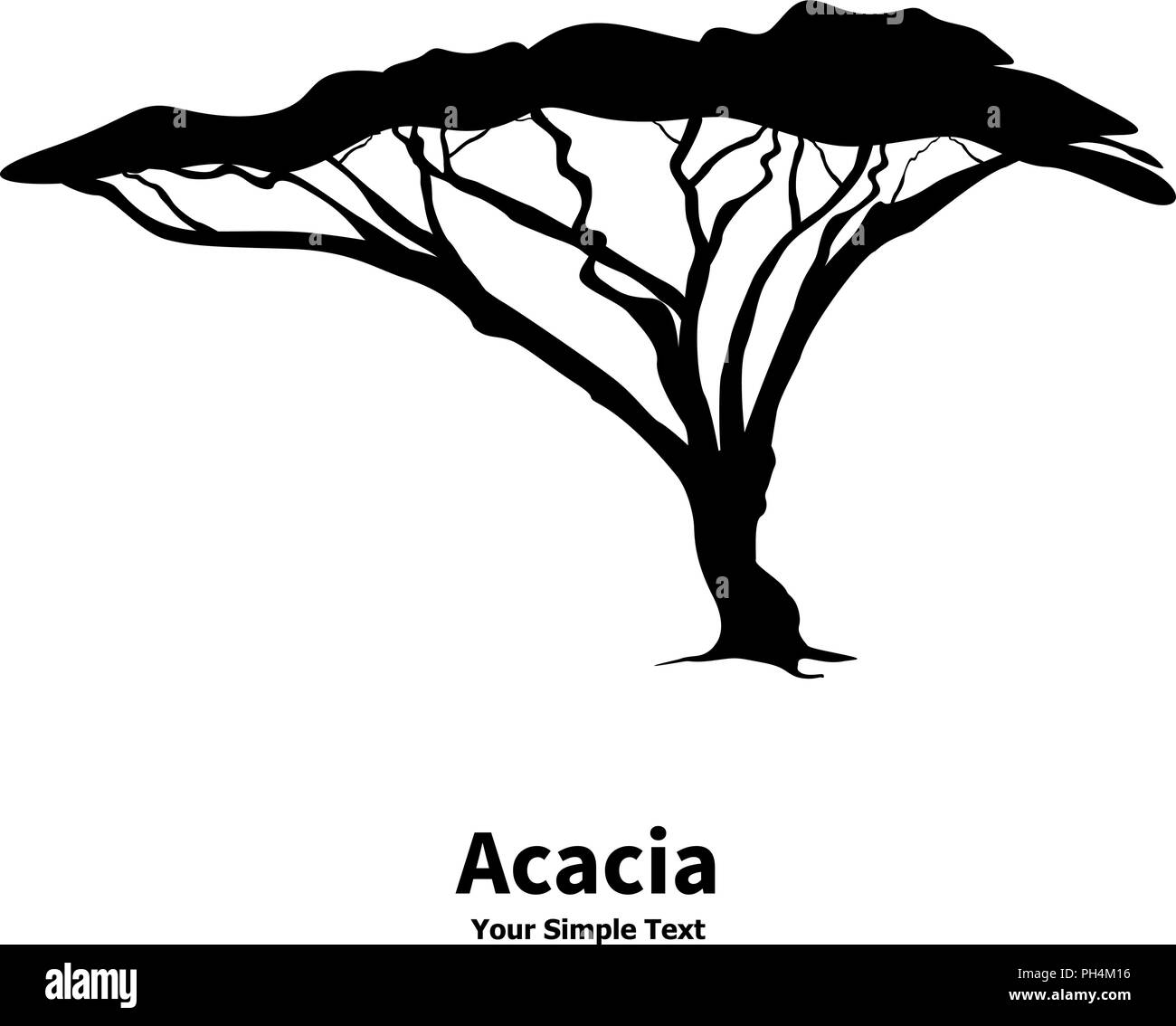 Vector illustration silhouette of an acacia Stock Vector