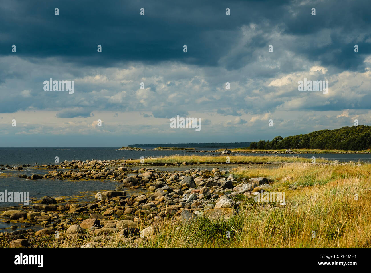 Shore of the White Sea on Bolshoy Solovetsky Island, Russia. Stock Photo