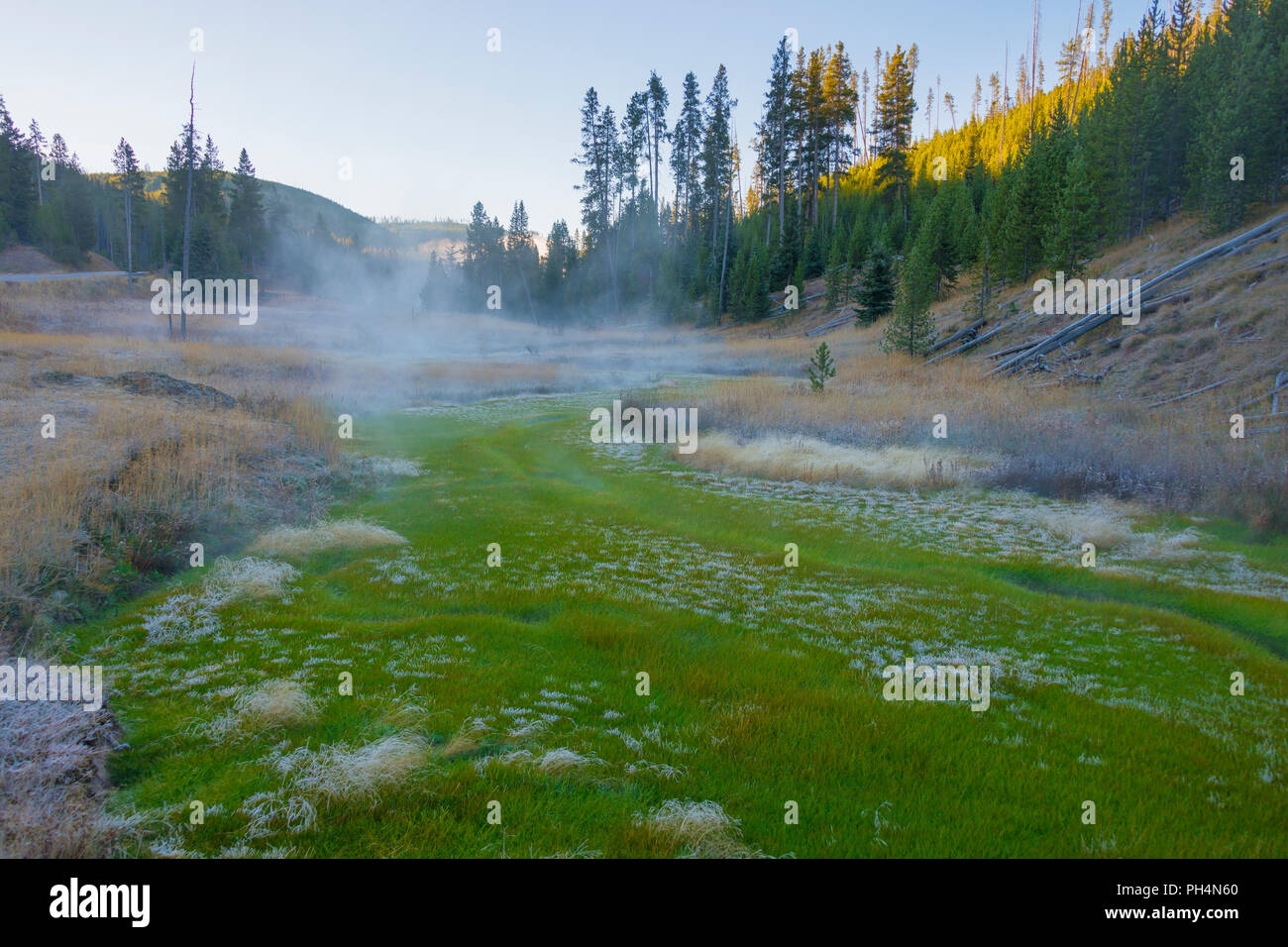 Obsidian Creek, Yellowstone National Park, USA Stock Photo