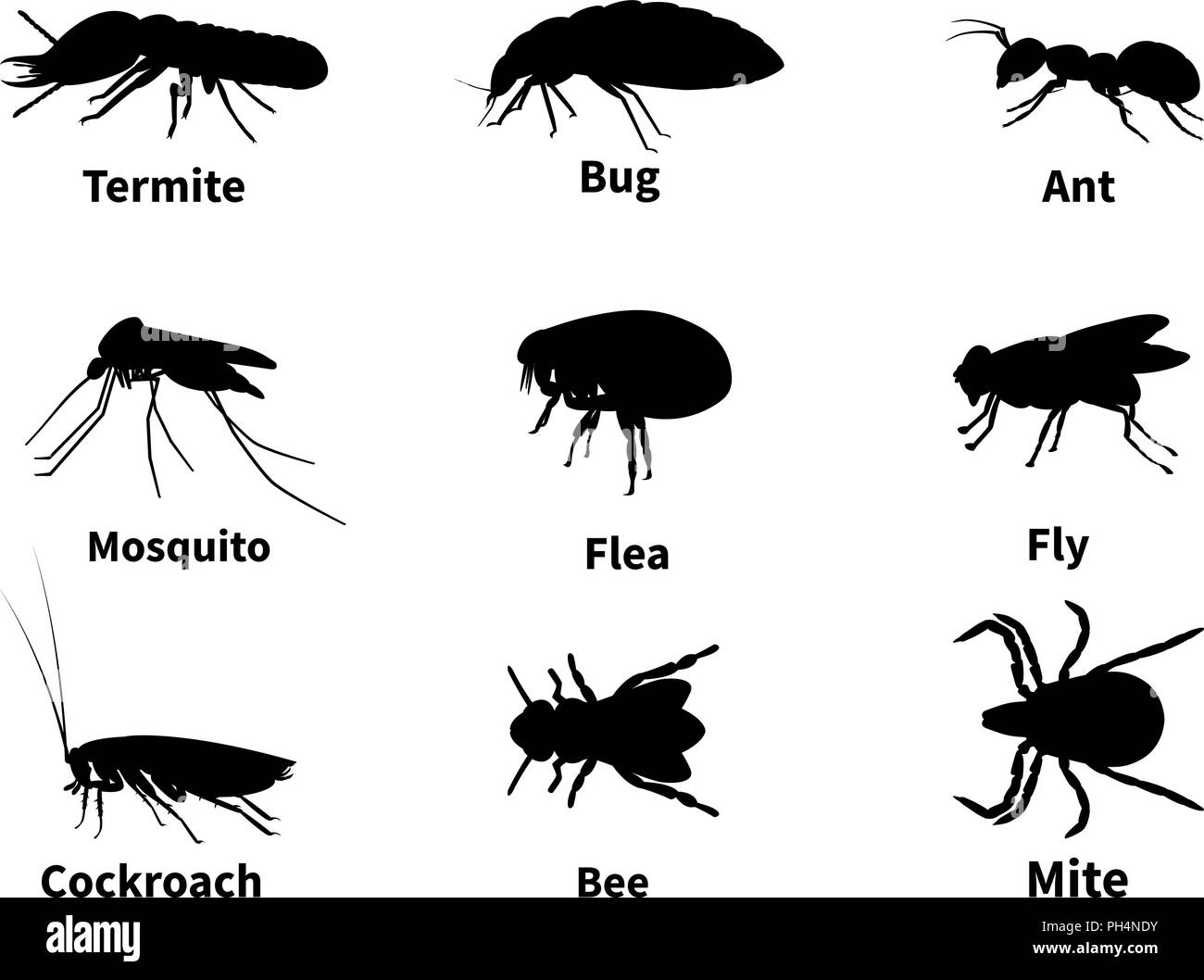 Vector illustration silhouettes of insects Stock Vector