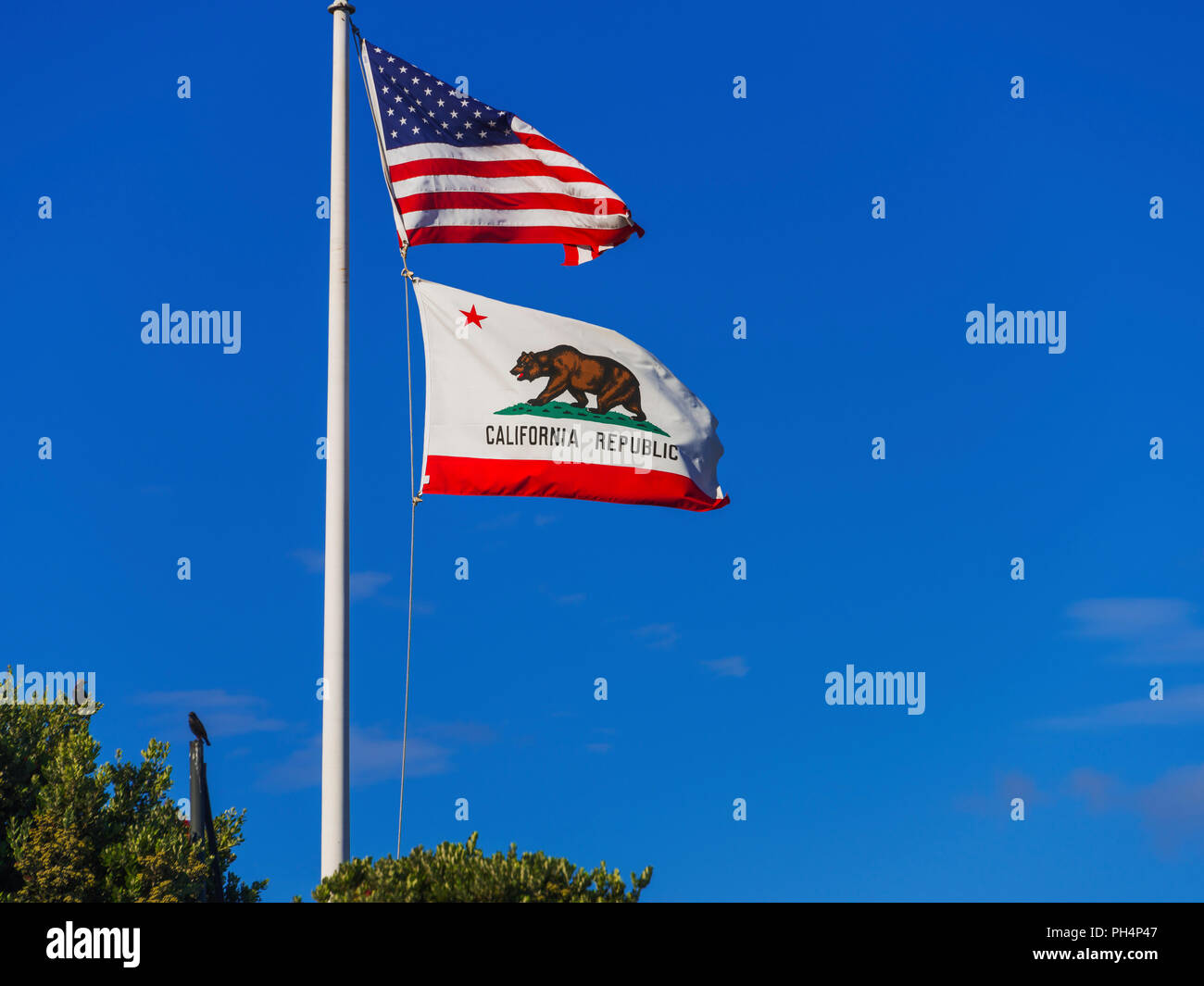 US and Californian flags, San Francisco, California, USA Stock Photo