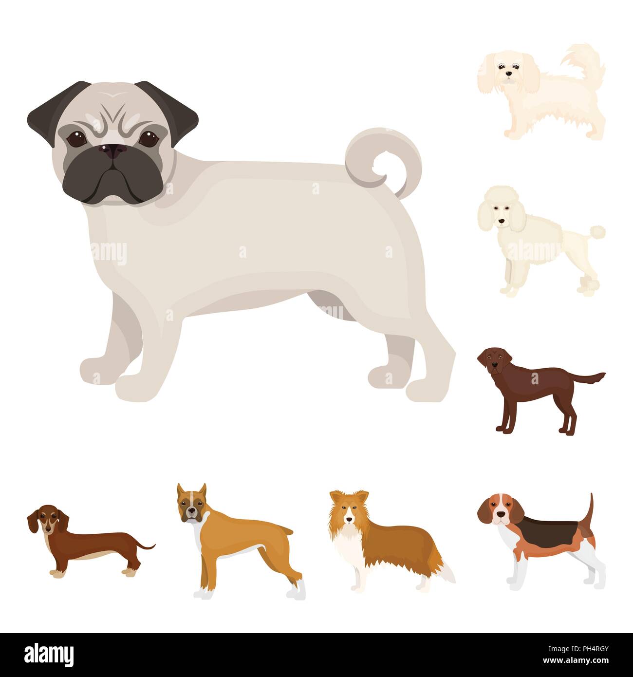Dog breeds cartoon icons in set collection for design.Dog pet vector ...