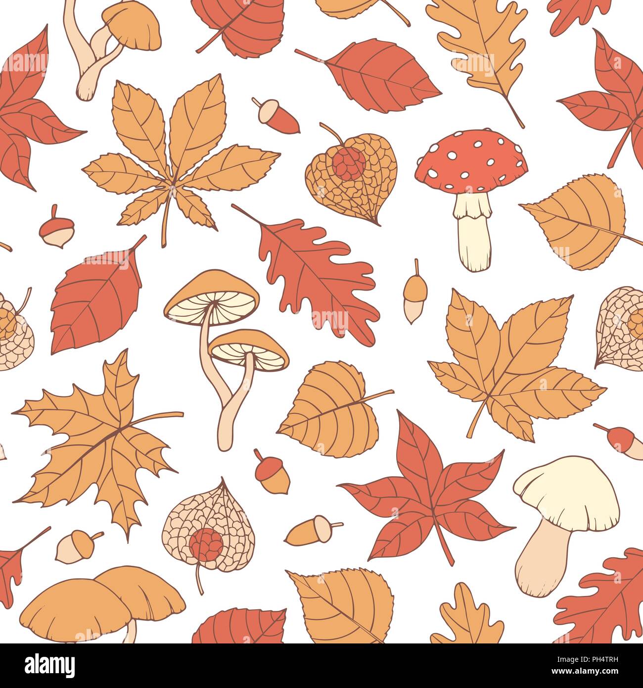 Vector autumn seamless pattern with oak, poplar, beech, maple, aspen and horse chestnut leaves, mushrooms, acorns and physalis on the white background Stock Vector