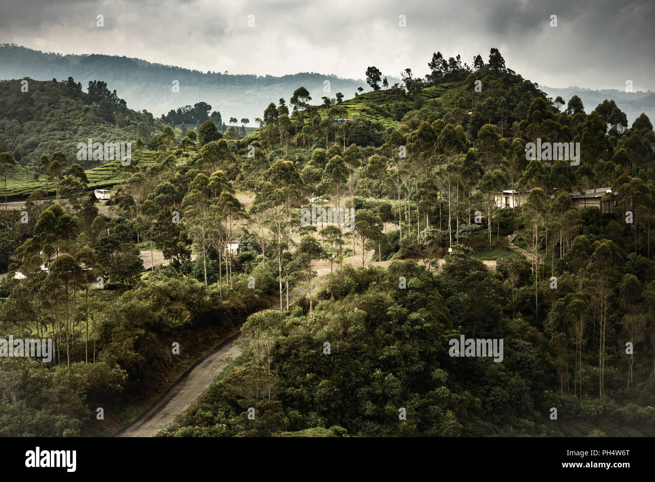 Beautiful hill in ciwidey, bandung, Indonesia Stock Photo