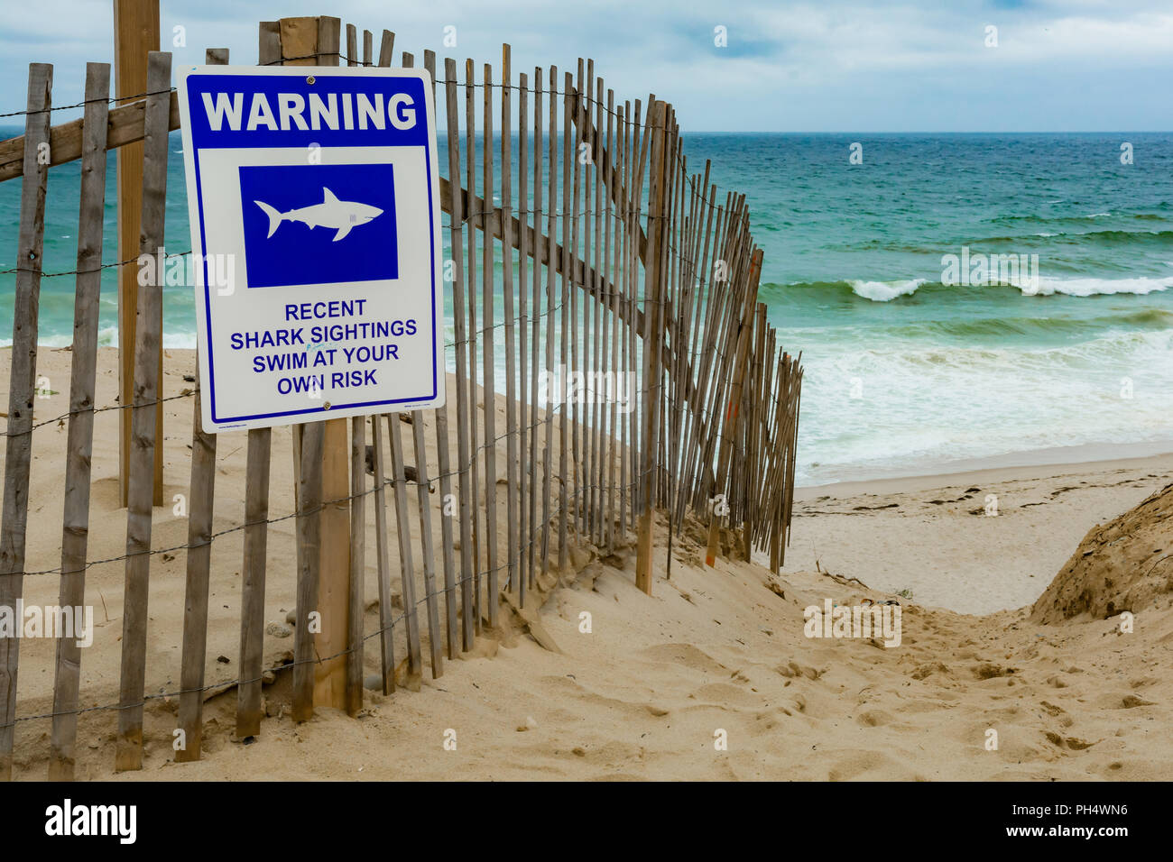 Great White Shark Warning Signs on Beach Stock Photo Alamy Great White Shark Warning Signs on Beach Stock Photo Alamy