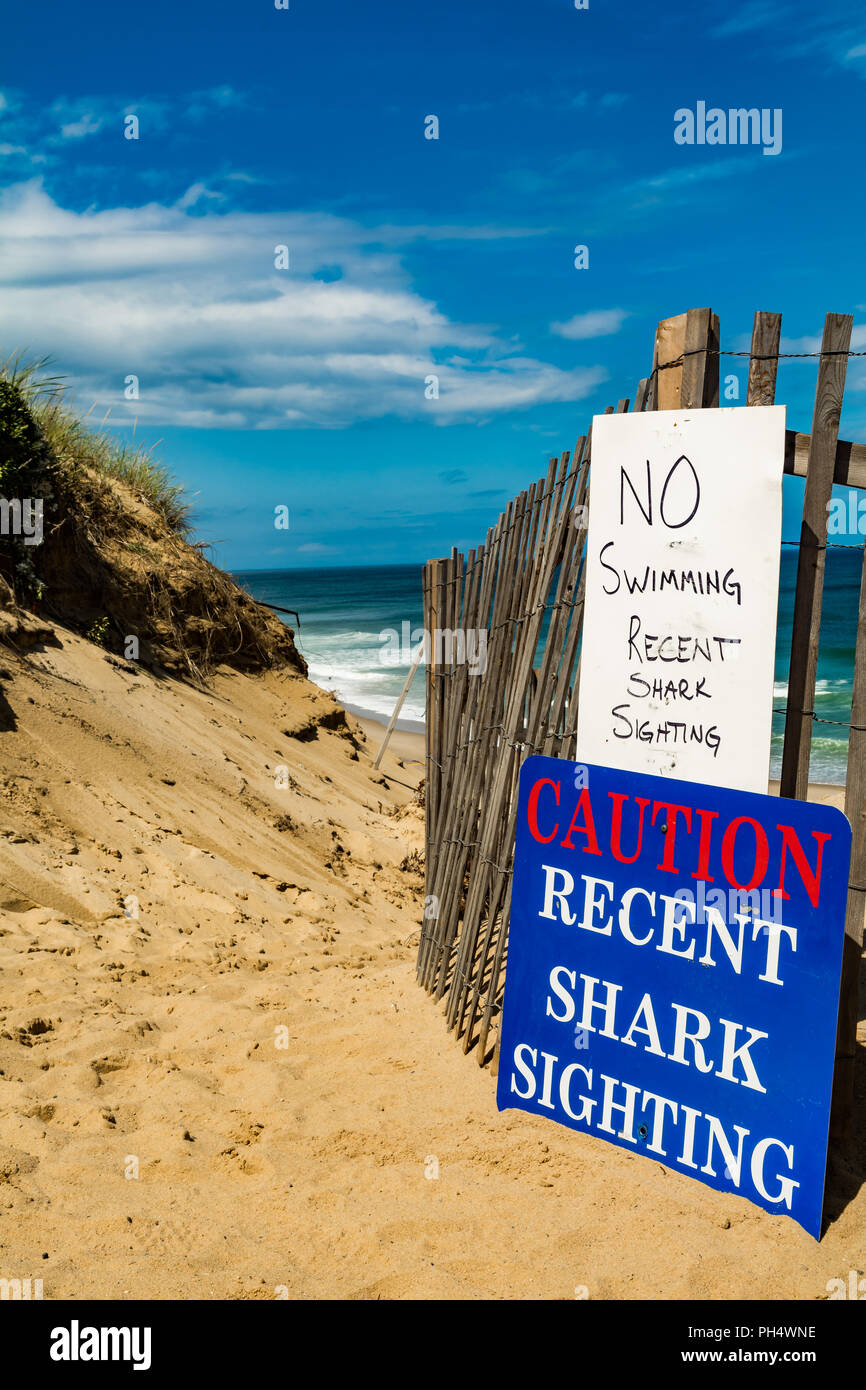 Great White Shark Warning Signs on Beach Stock Photo