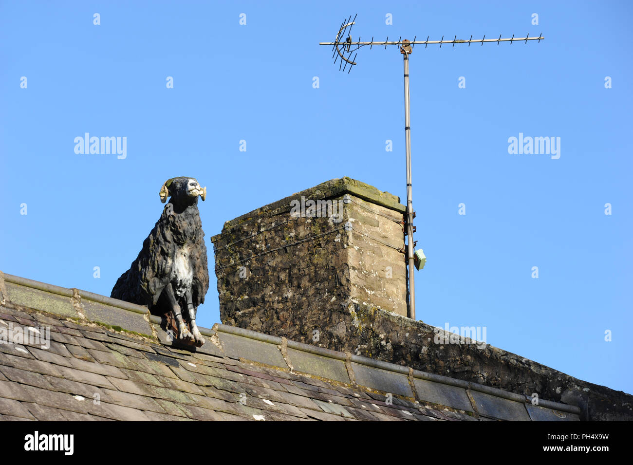 Effigy of black sheep on the roof of Muker Old School Crafts Shop and