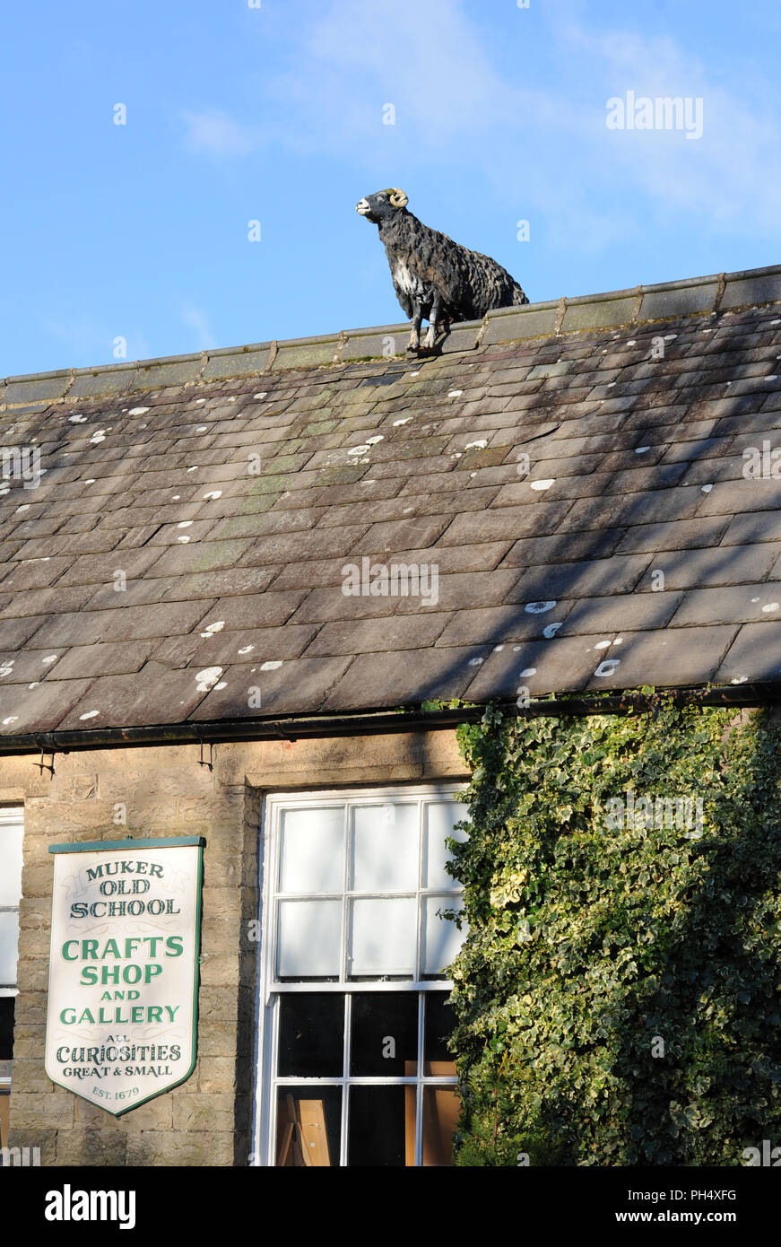 Sheep On The Roof High Resolution Stock Photography and Images Alamy