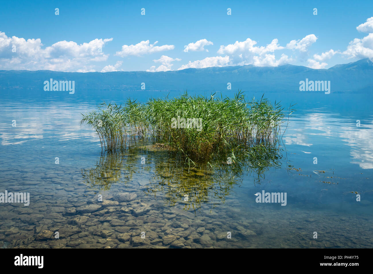 Ochrit Hi-res Stock Photography And Images - Alamy