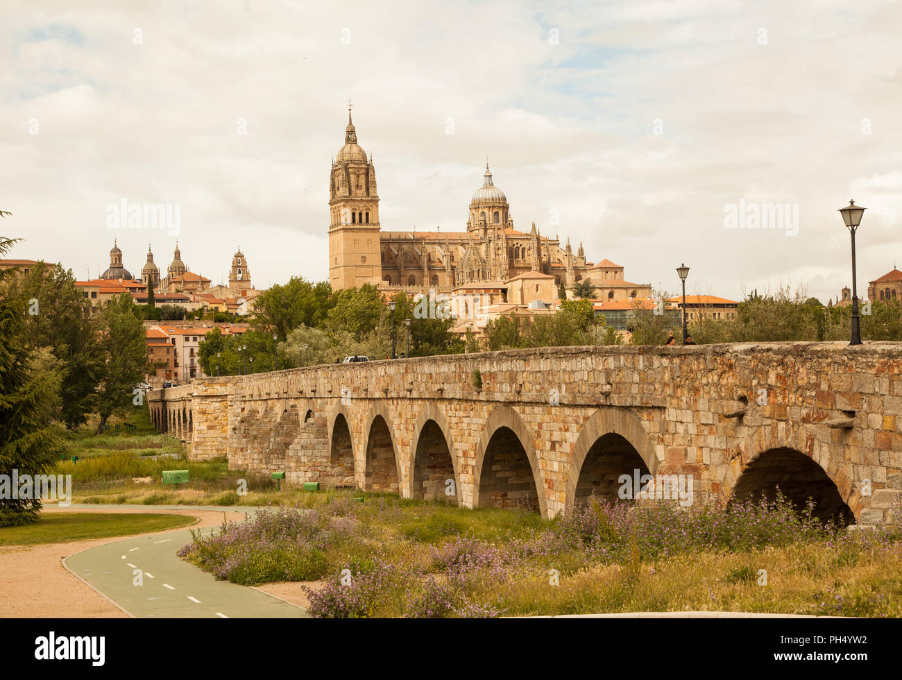 The city of Salamanca a university town with its many historic buildings  seen here over the Roman bridge with a view of the new and old cathedrals Stock Photo