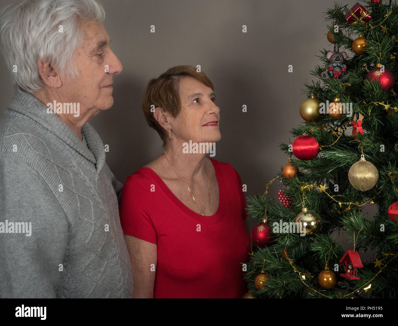 Horizontal portrait of an elderly couple watching a Christmas tree Stock Photo