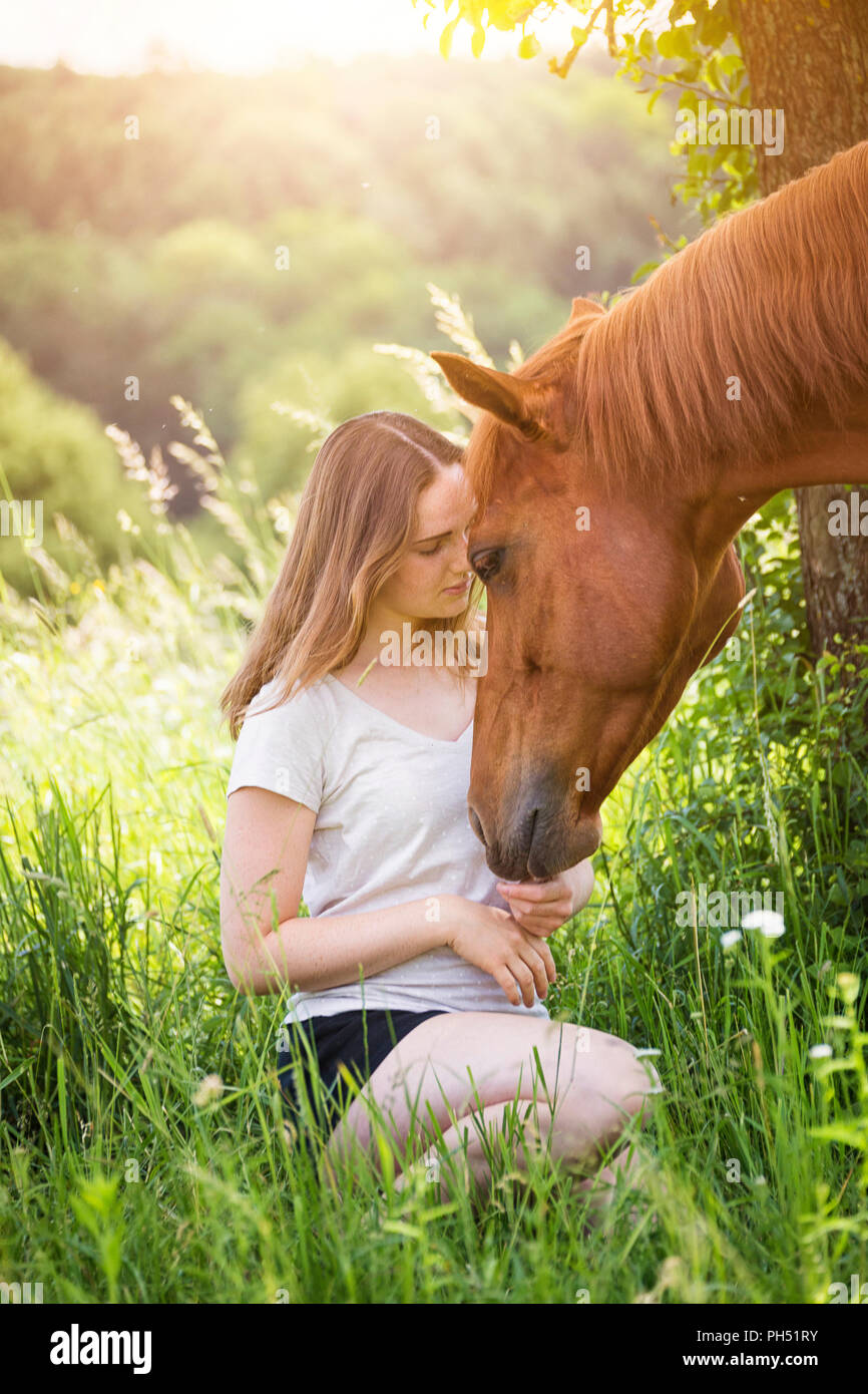 Person petting horse hires stock photography and images Alamy