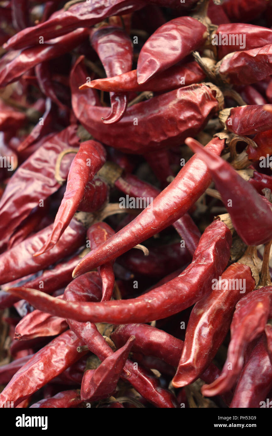 How to grow peppers hires stock photography and images Alamy