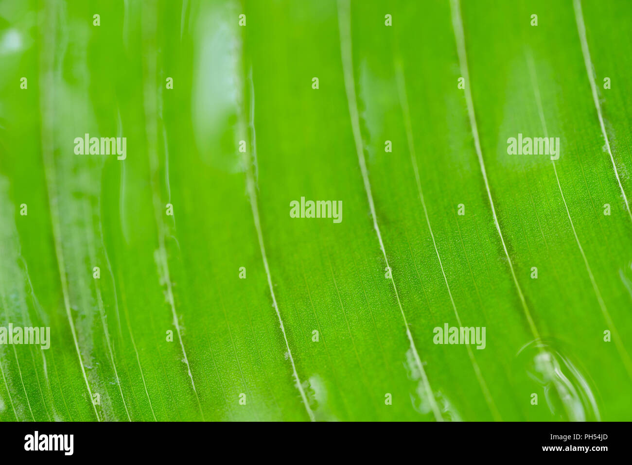 under armour vapormax