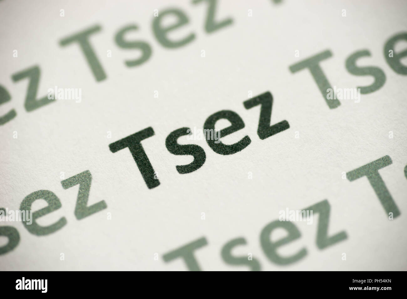 word Tsez language printed on white paper macro Stock Photo Alamy