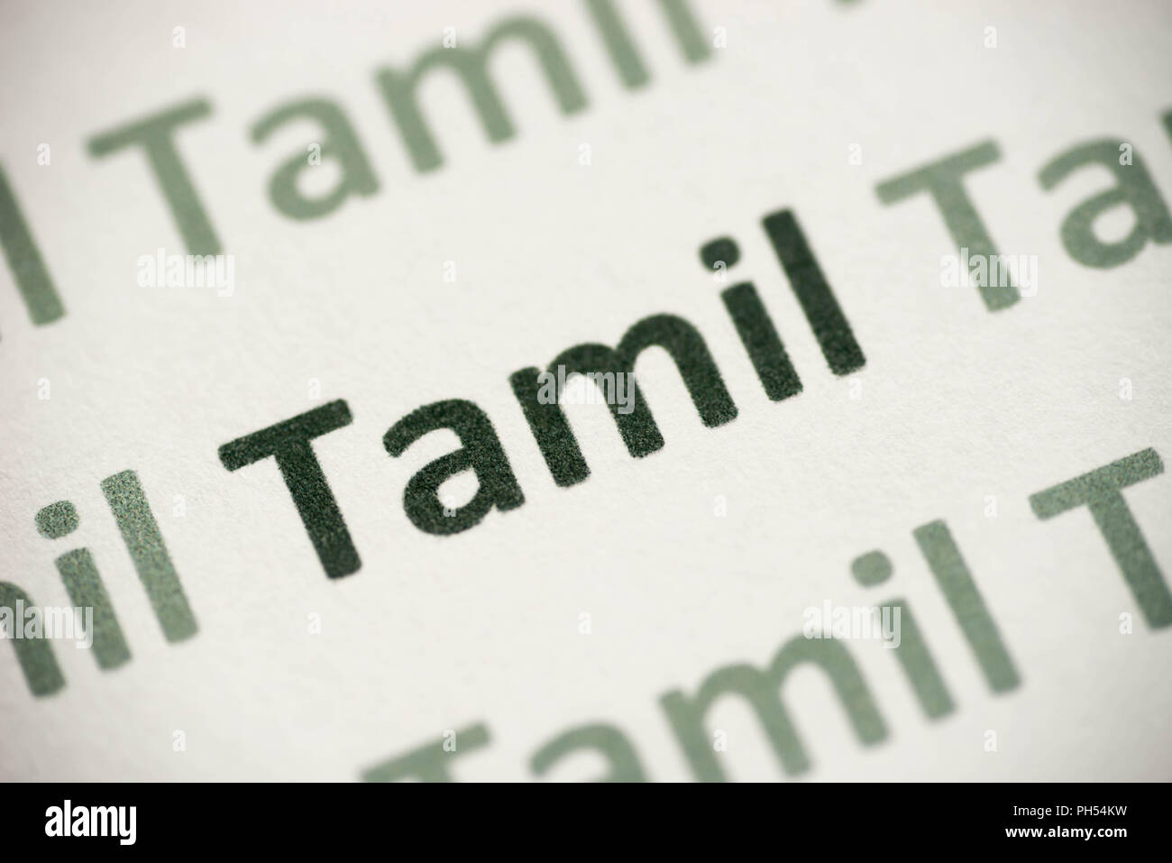 word Tamil language printed on white paper macro Stock Photo - Alamy