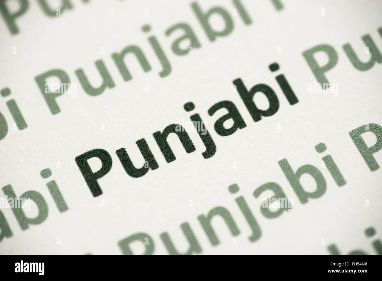 punjabi wording in punjabi font