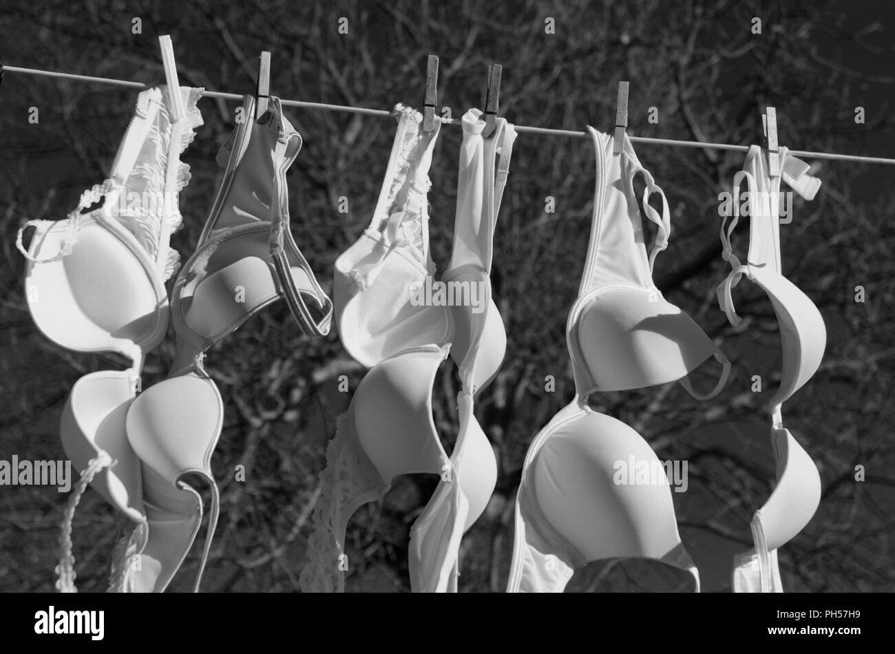 laundry line full of women's bras drying in sun Stock Photo - Alamy