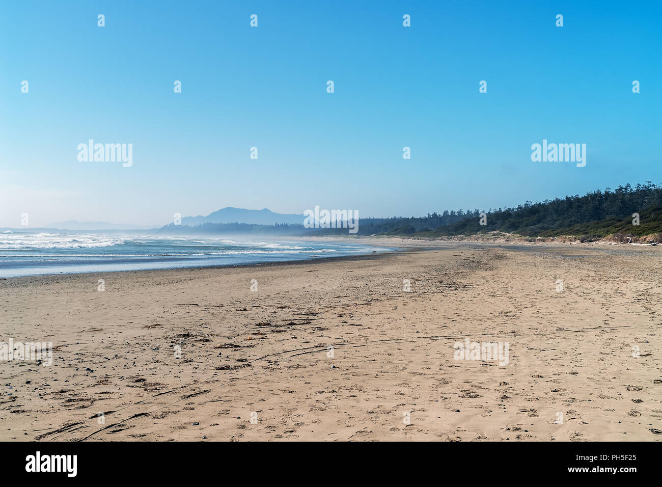 Long Beach in Tofino - BC, Canada Stock Photo