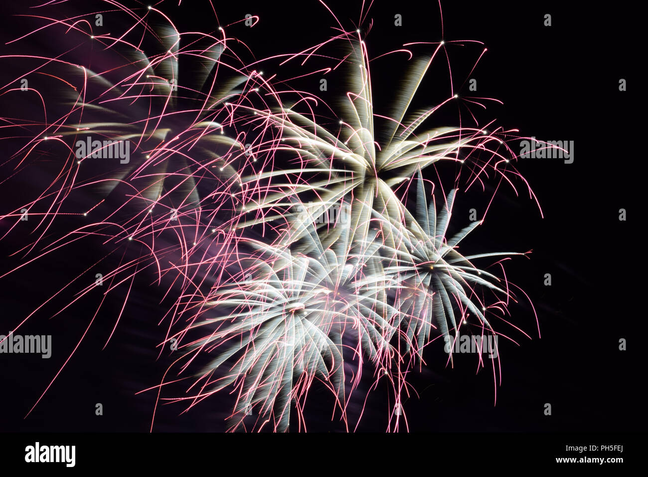 Silver Rope Firework pink and silver fireworks, firework display for celebration by night ...