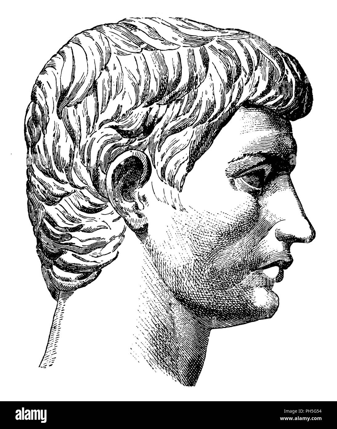collatinus brutus collatinus brutus