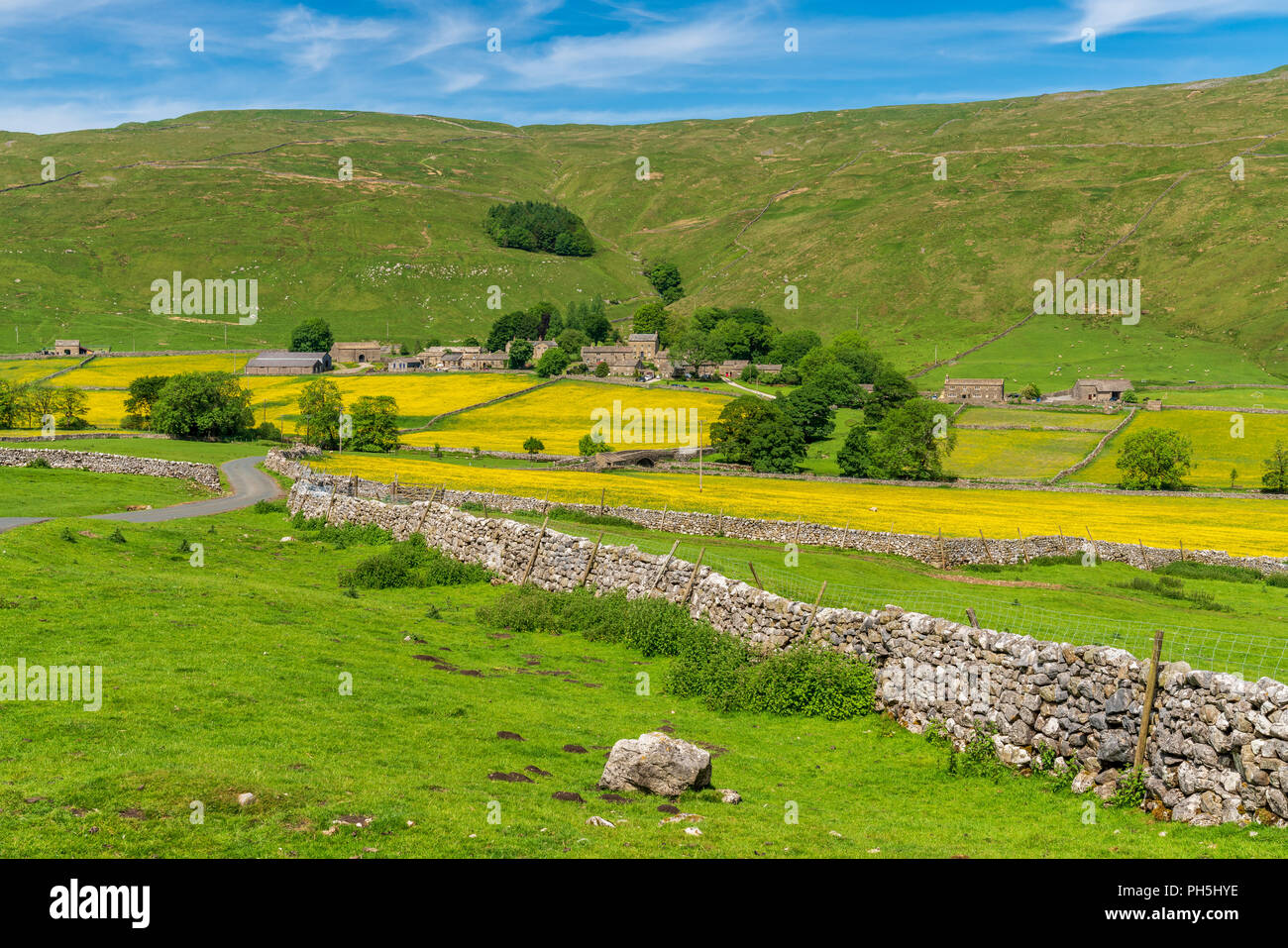 Yorkshire Dales landscape with Halton Gill and the Horse Head High Pasture in the background, North Yorkshire, England, UK Stock Photo