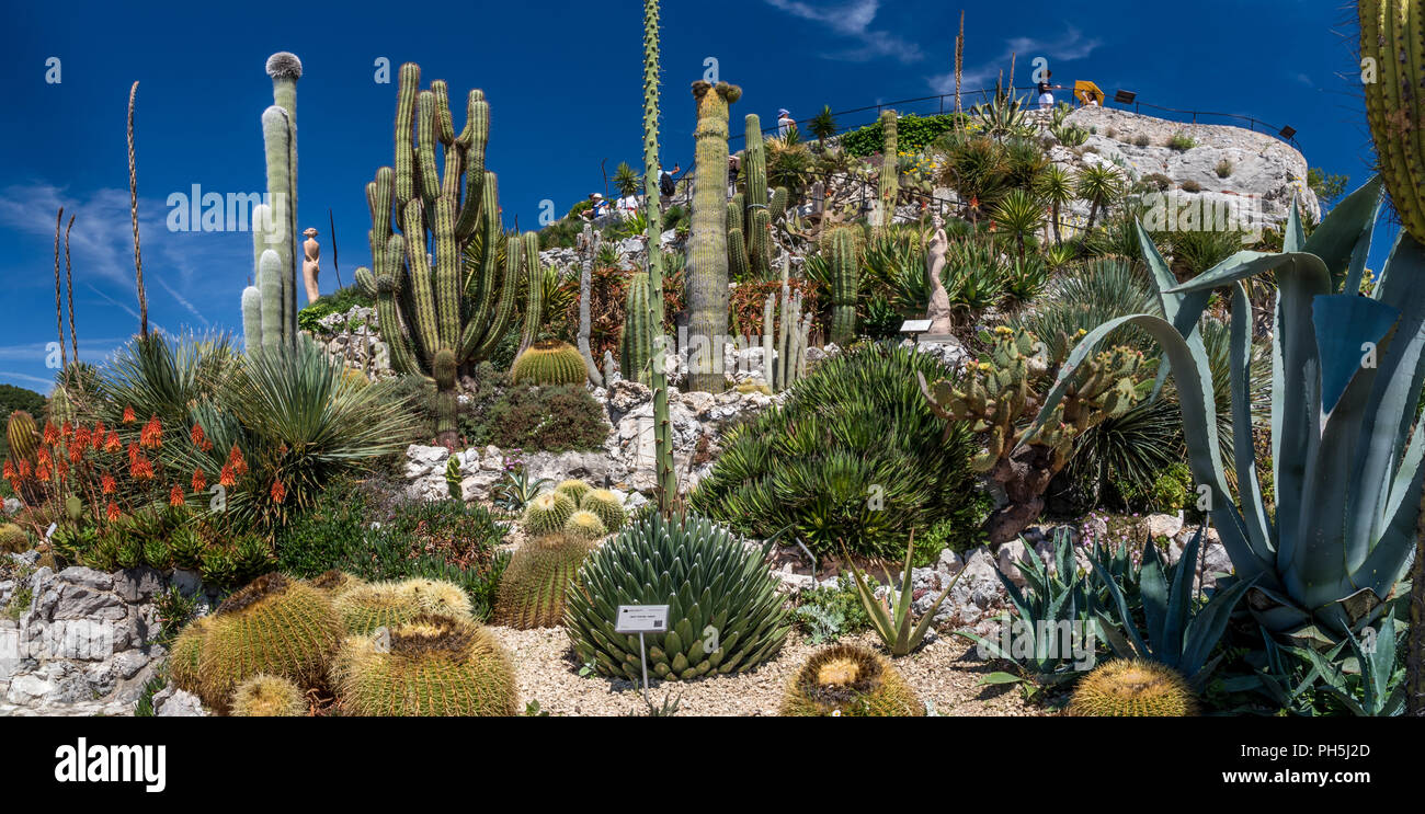 The 'Exotic Garden' in the Medieval village of Eze in the Cote d'Azure Stock Photo