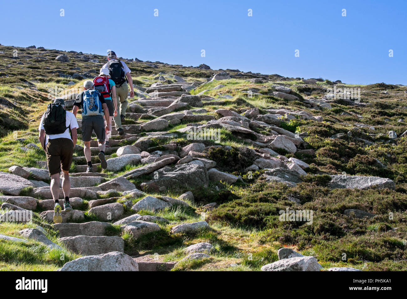 Four Tourists With Backpacks Walking On Mountain Path In Spring