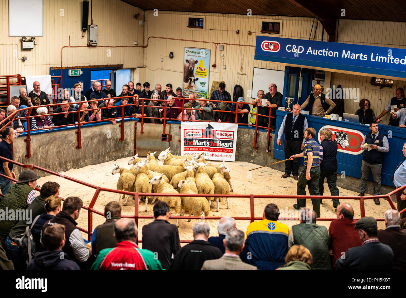 Longtown Sale High Resolution Stock Photography and Images Alamy