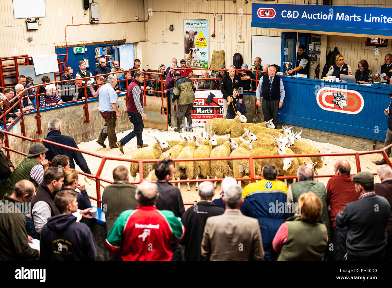 Longtown Sale High Resolution Stock Photography and Images Alamy