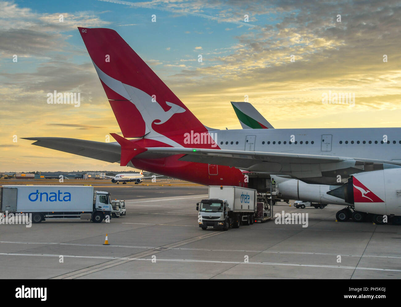 Tail fin of a Qantas Airbus A380 "super jumbo" jet at London Heathrow airport with a sunset sky. A truck is loading air freight into its hold. Stock Photo