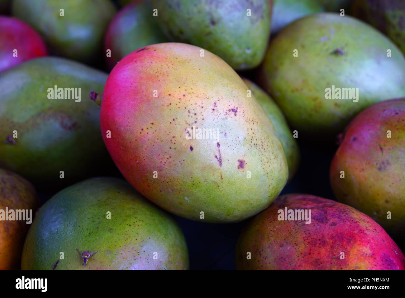 Fresh red and green mango fruit at a road stand in Maui, Hawaii Stock
