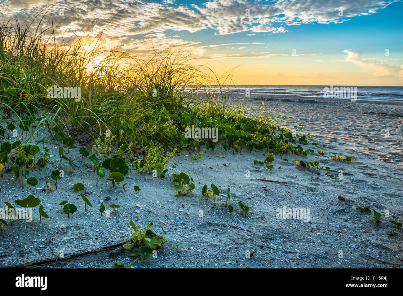 Myrtle beach skywheel aerial hires stock photography and images Alamy